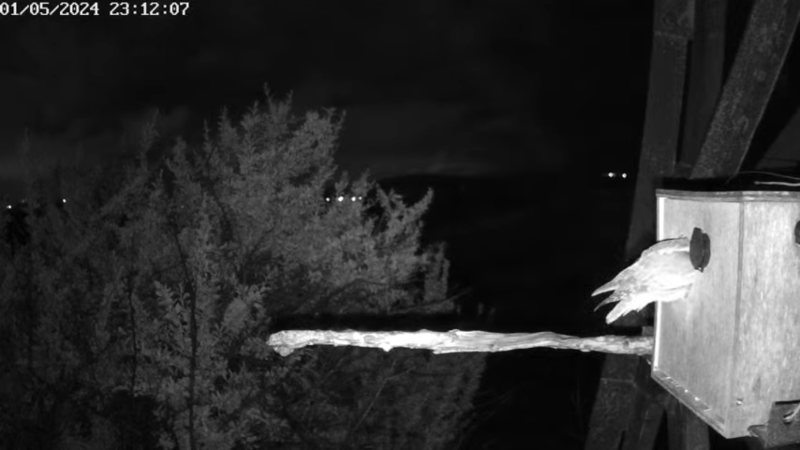 Screenshot (17).png