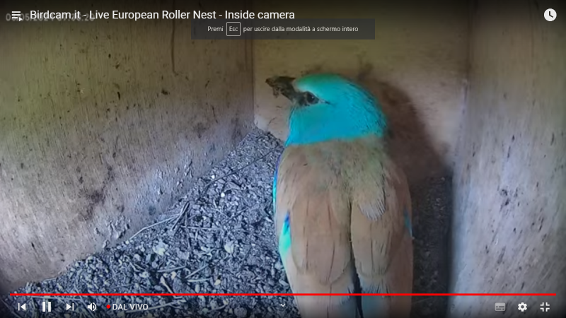 Screenshot (32).png