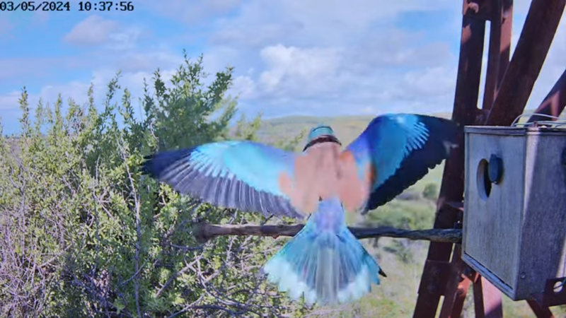 Screenshot (45).png