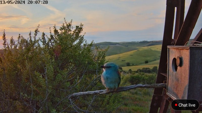 Screenshot_20240513-200747.jpg