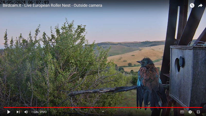 Screenshot (280).png