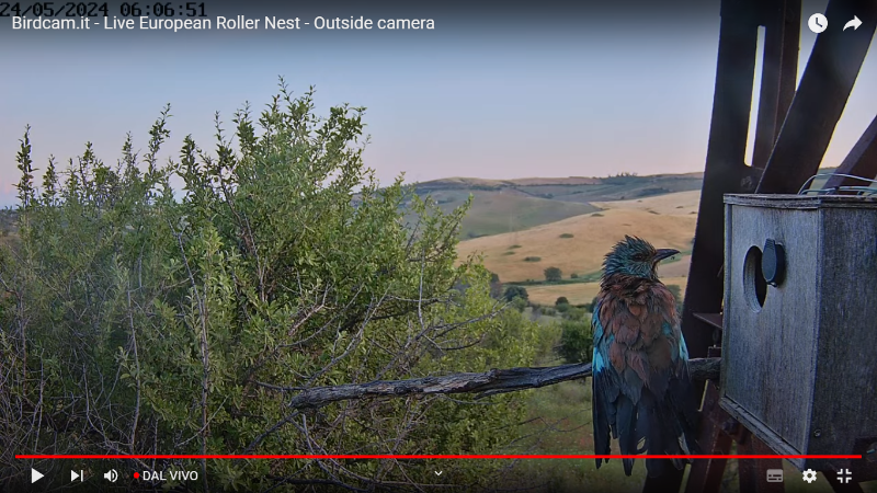 Screenshot (279).png
