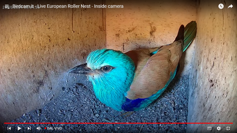Screenshot (306).png