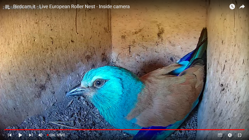 Screenshot (308).png