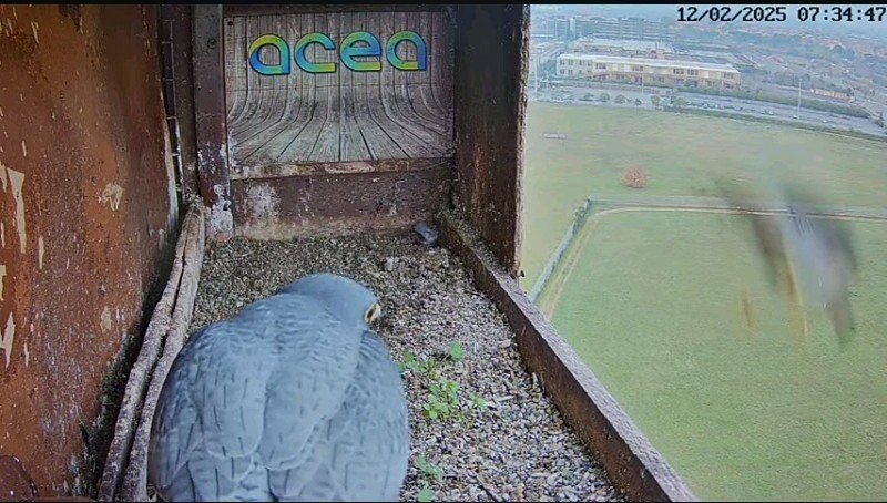 Screenshot_2025-02-12-11-44-29-346.jpeg