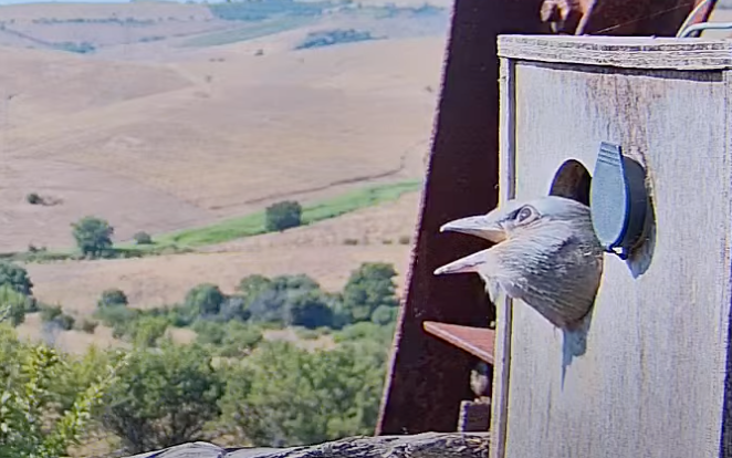 n 3 è ancora scontento