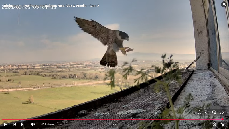 Screenshot (2199).png
