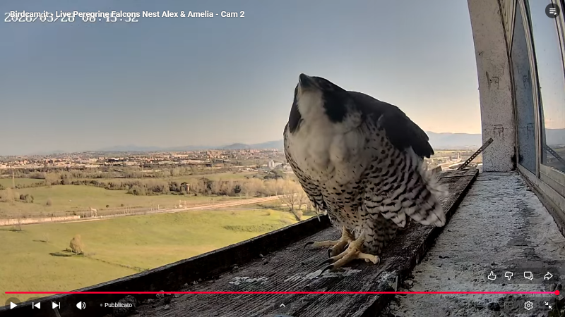 Screenshot (2237).png