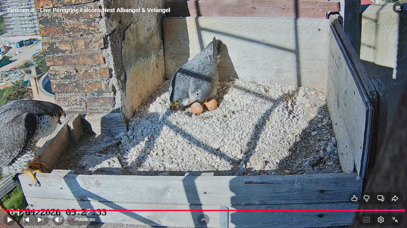 Screenshot (2263).png