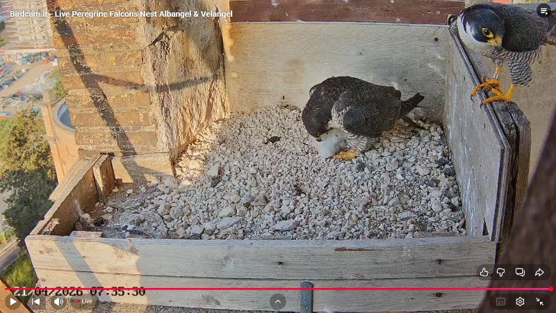 Screenshot (2369).png
