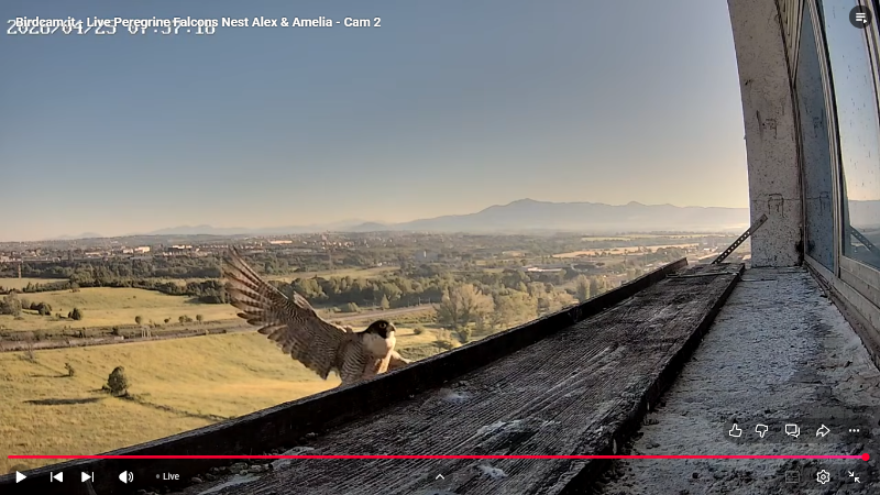 Screenshot (2386).png