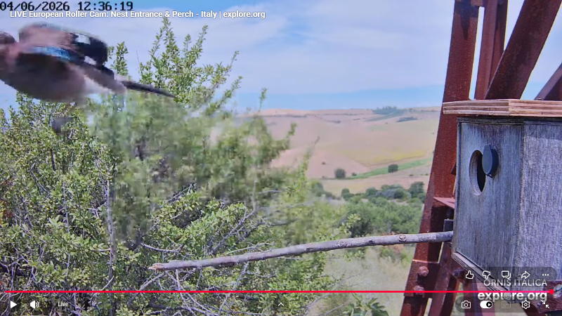 Screenshot (2689).png