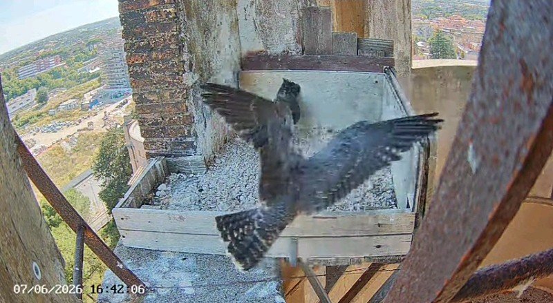 Screenshot_2026-06-07-16-54-07-883.jpeg