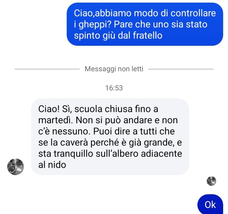 Screenshot_20260627_165453_Messenger.jpg