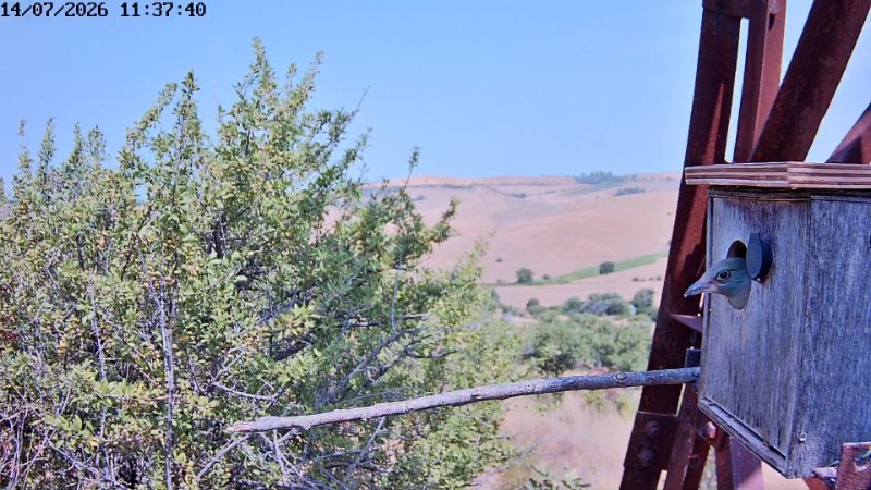 SnapShot-20260714_113748.jpg
