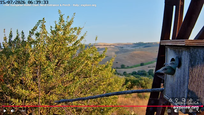 Screenshot (2882).png