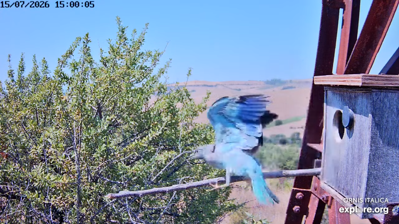Screenshot (2886).png