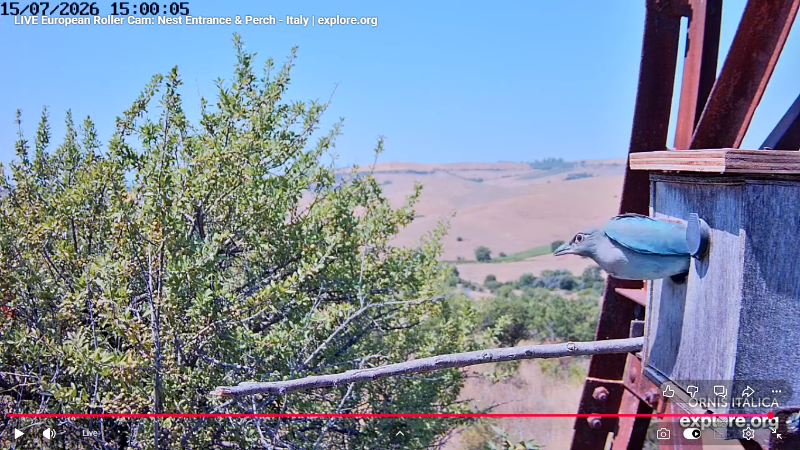 Screenshot (2885).png