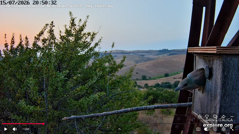 Screenshot (2891).png