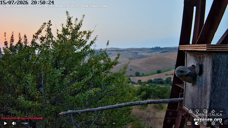 Screenshot (2890).png