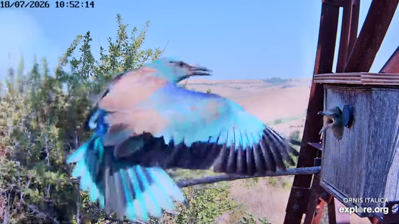 Screenshot (2897).png