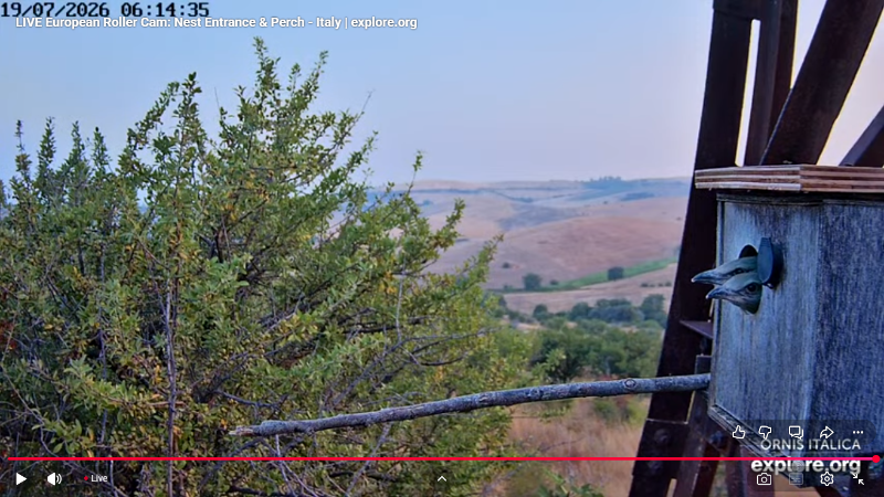 Screenshot (2899).png