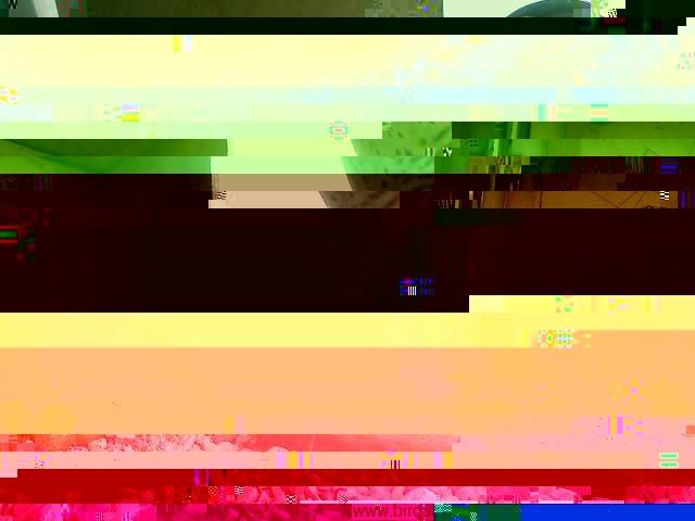 verginevvxzxvzvxz.jpg