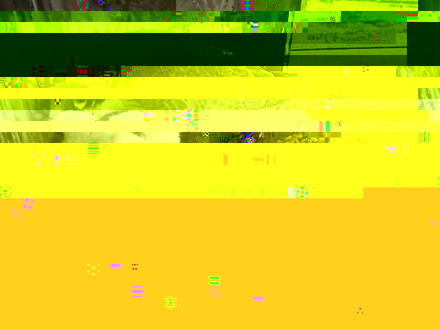 v1.jpg