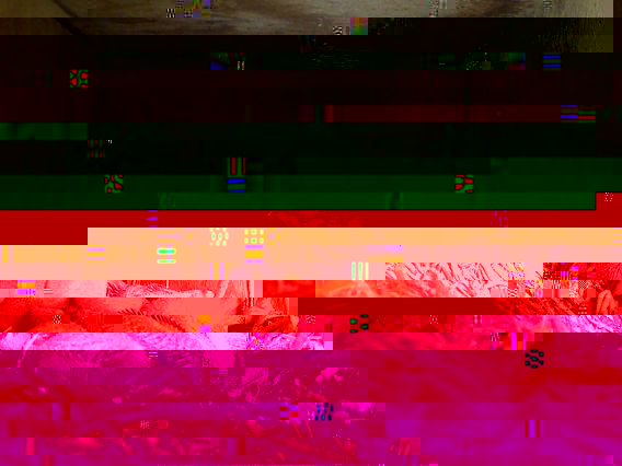 s.jpg