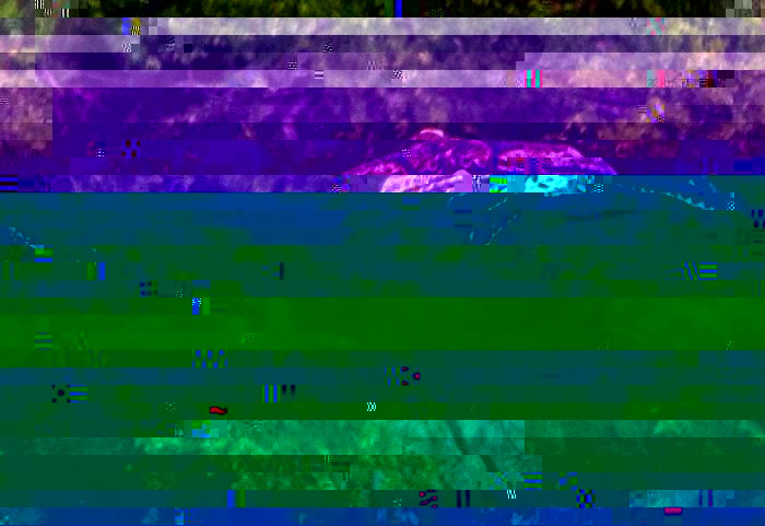 1609638_716946241658509_826482641_n.jpg