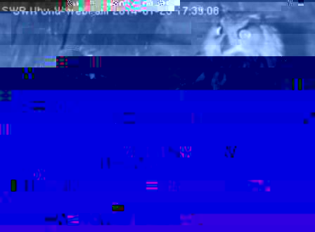 1739082.jpg