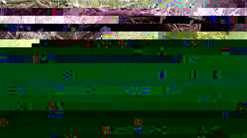 ne1de017a131ec.jpg