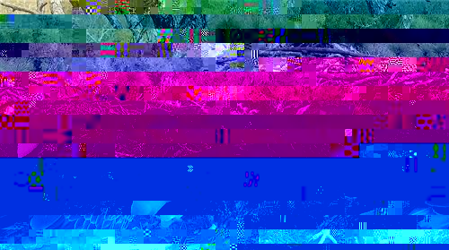 ne 4fc5698f46f5.jpg