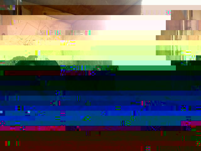 appio (56).jpg