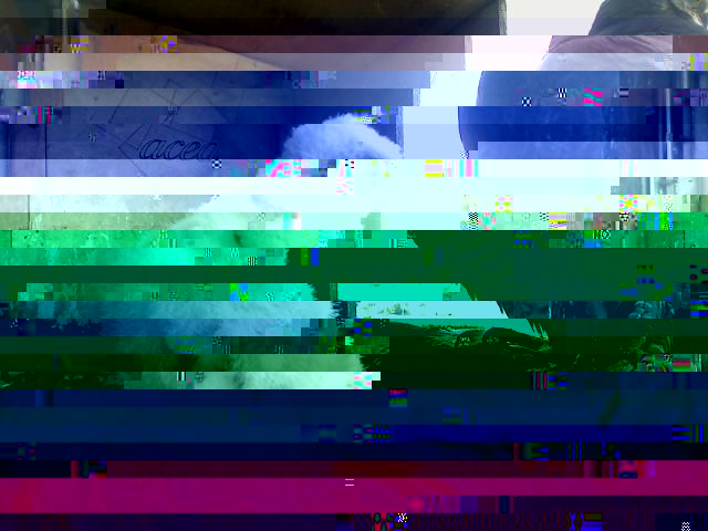 appio47GHFO53.jpg