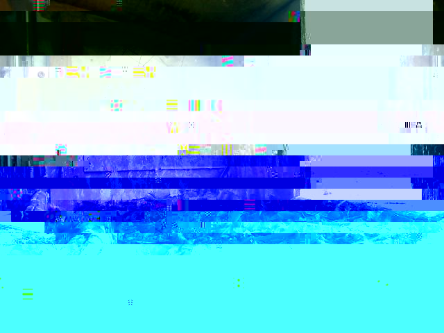 alver3.jpg