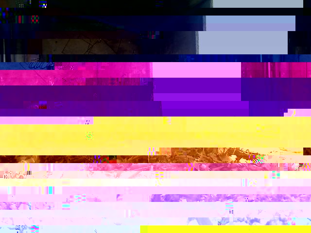alver.jpg