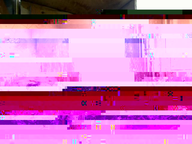 alver.jpg