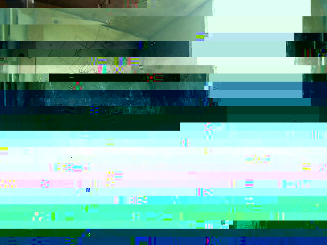 aLVER.jpg