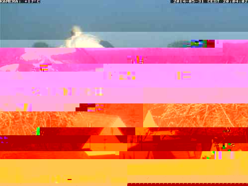 2004.jpg