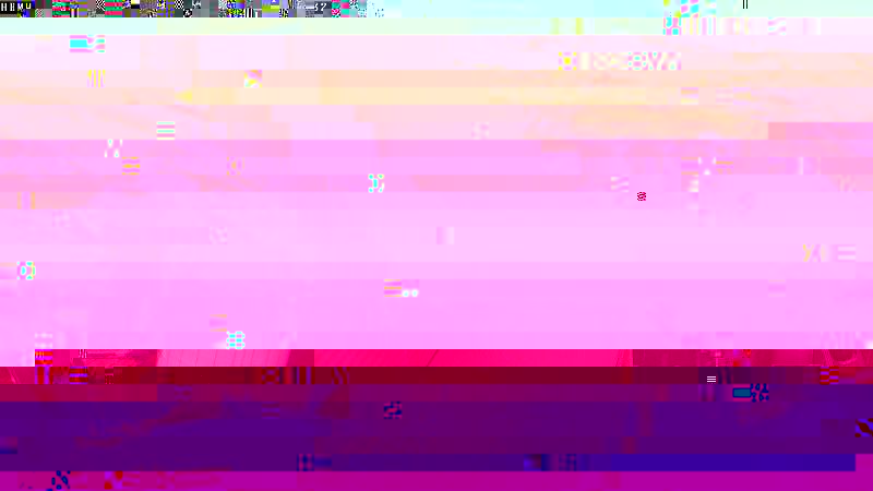 cam2.jpg