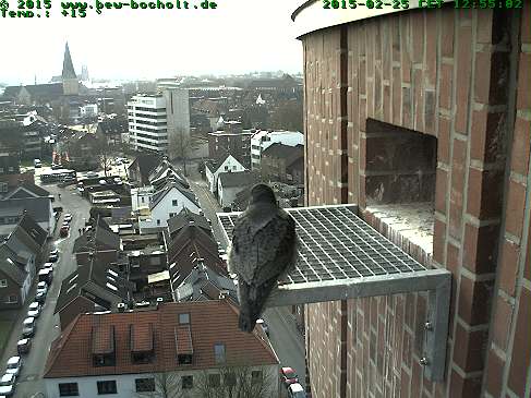 Webcam_StGeorg (9).jpg