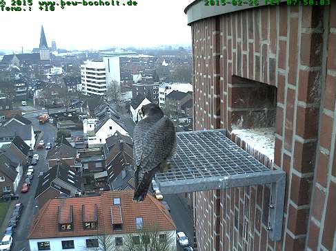 Webcam_StGeorg (11).jpg