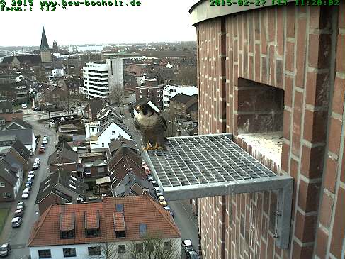 Webcam_StGeorg (14).jpg