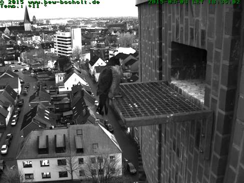 Webcam_StGeorg (19).jpg
