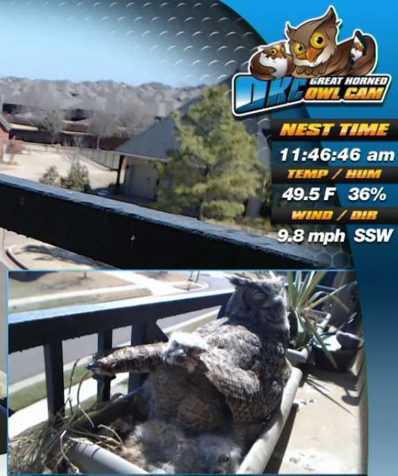 Screenshot_10.jpg