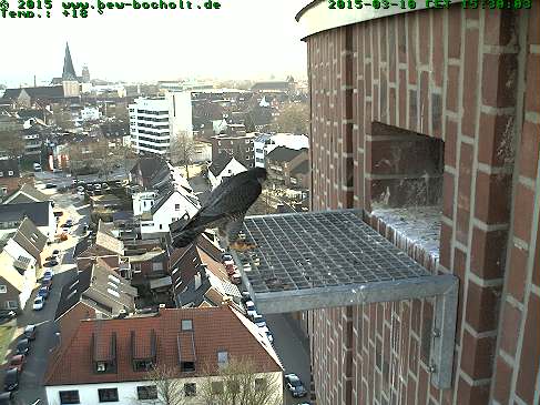 Webcam_StGeorg (1).jpg