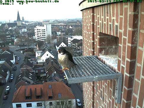 Webcam_StGeorg (4).jpg