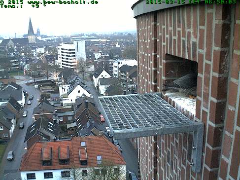 Webcam_StGeorg (5).jpg