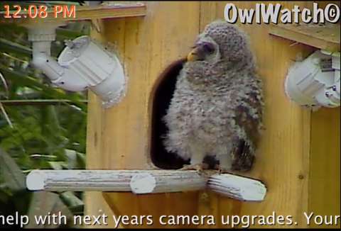 Screenshot_35.jpg